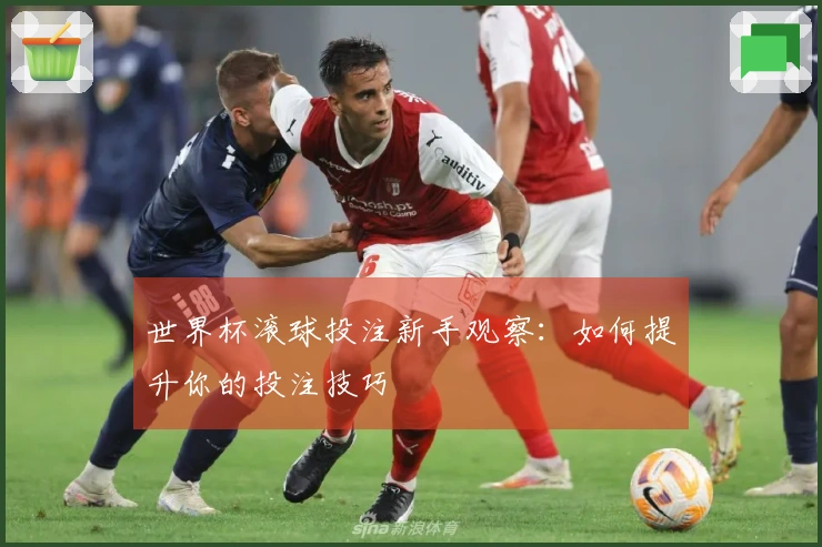 世界杯滚球投注新手观察：如何提升你的投注技巧