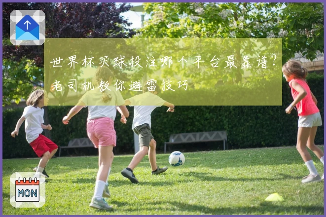 世界杯买球投注哪个平台最靠谱？老司机教你避雷技巧