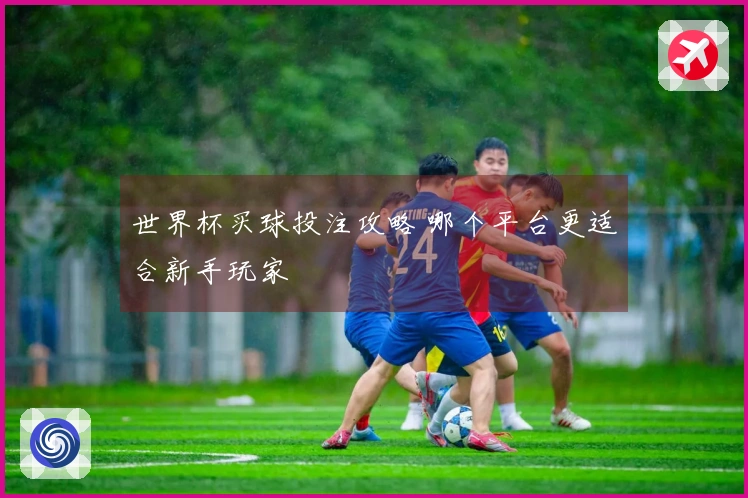 世界杯买球投注攻略 哪个平台更适合新手玩家
