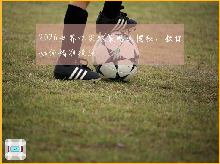 2026世界杯买球策略大揭秘，教你如何精准投注
