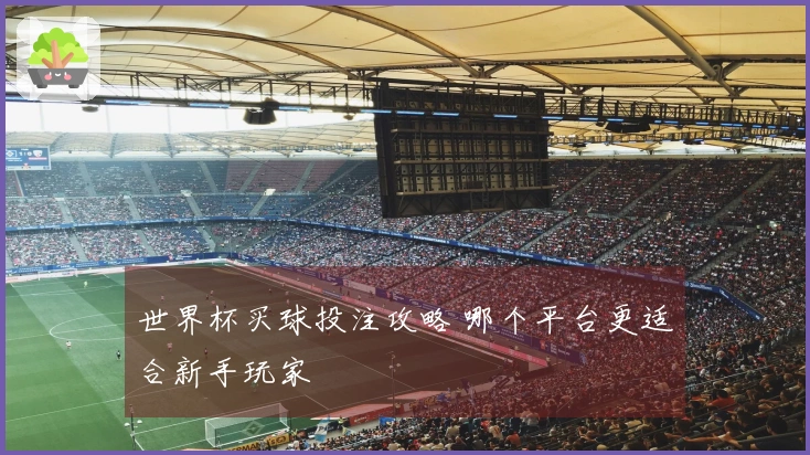 世界杯买球投注攻略 哪个平台更适合新手玩家