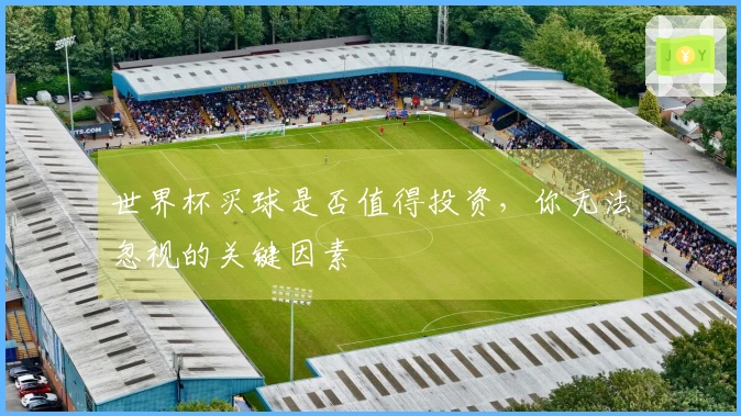 世界杯买球是否值得投资，你无法忽视的关键因素