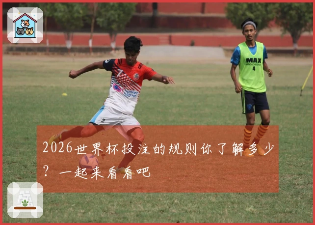 2026世界杯投注的规则你了解多少？一起来看看吧