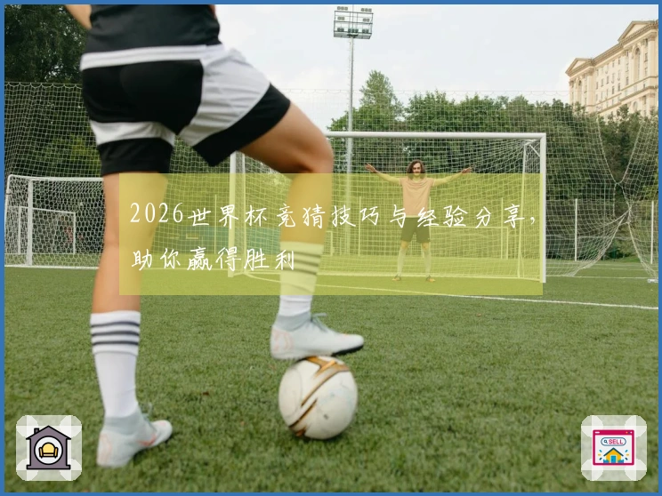 2026世界杯竞猜技巧与经验分享，助你赢得胜利