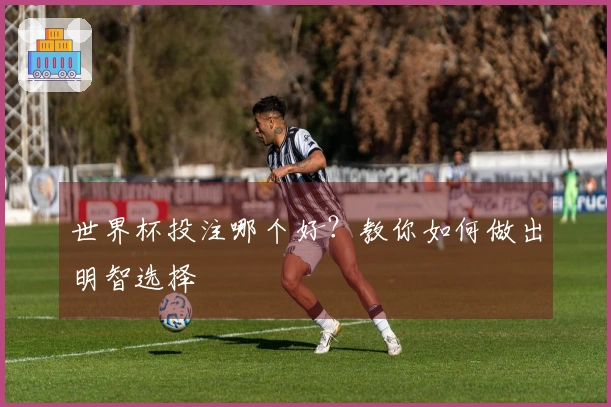 世界杯投注哪个好？教你如何做出明智选择