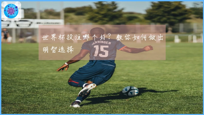 世界杯投注哪个好？教你如何做出明智选择