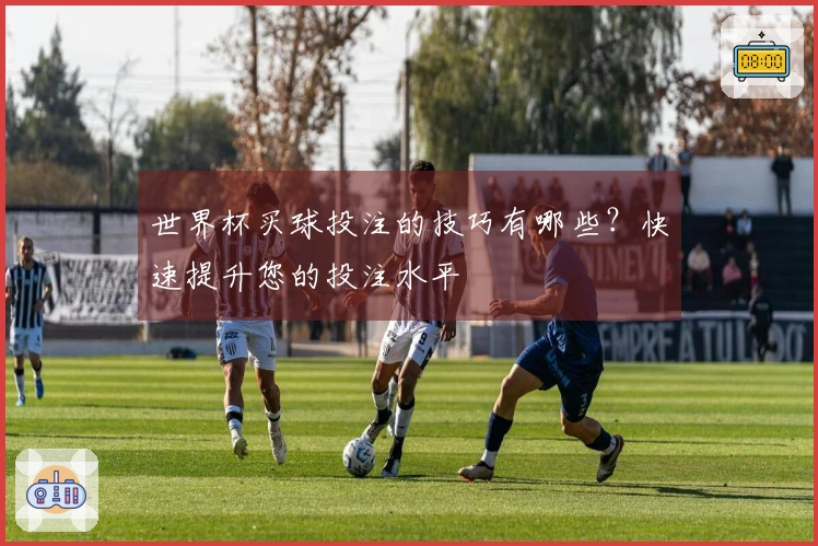 世界杯买球投注的技巧有哪些？快速提升您的投注水平