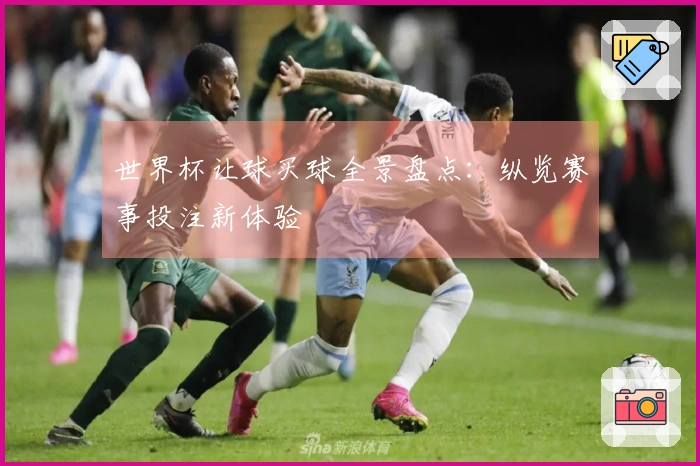 世界杯让球买球全景盘点：纵览赛事投注新体验