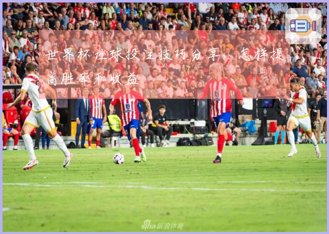 世界杯让球投注技巧分享，怎样提高胜率和收益