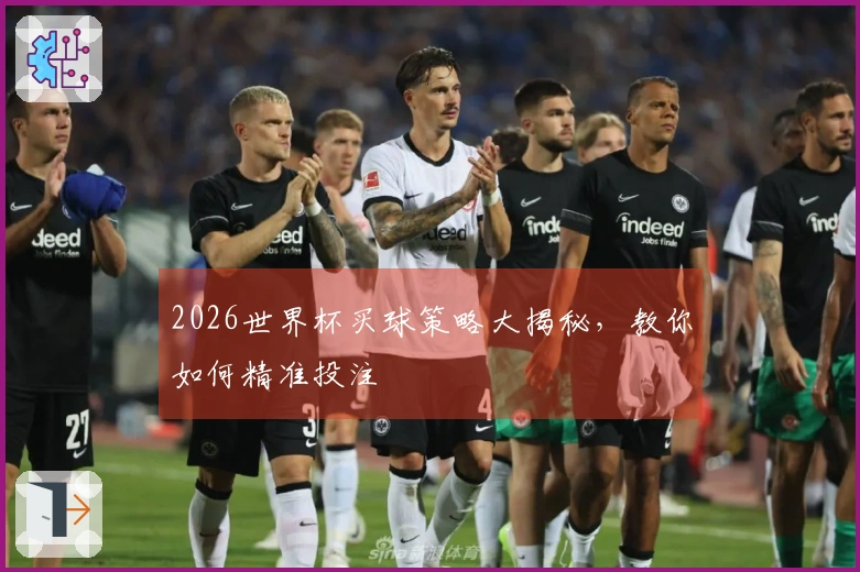 2026世界杯买球策略大揭秘，教你如何精准投注